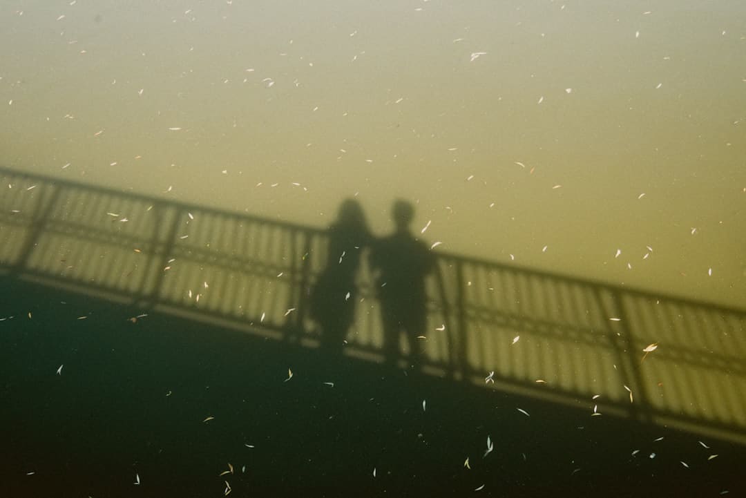 米津玄师为真人版《秒速5厘米》献唱主题曲